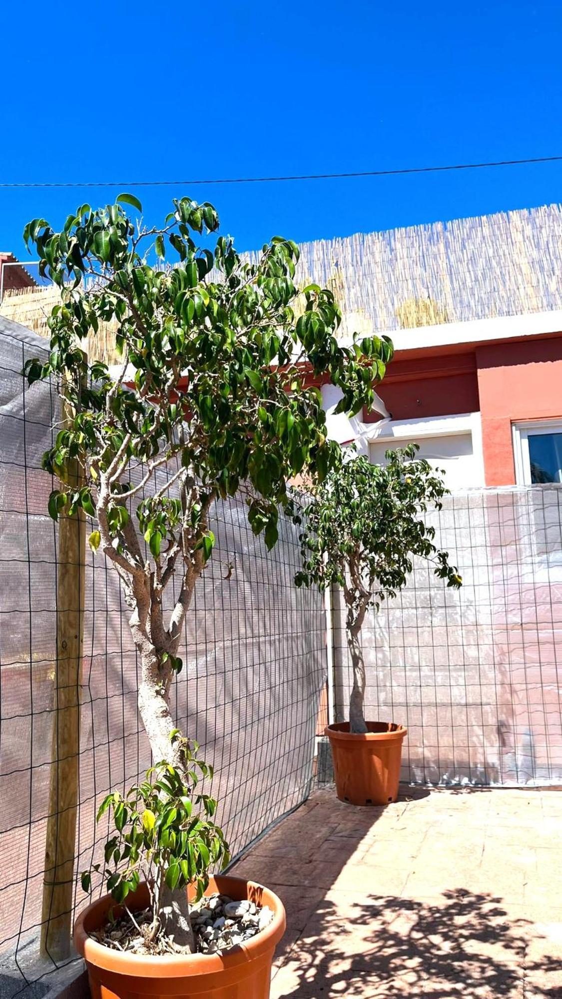 Apartamento Leyda En ماربيا المظهر الخارجي الصورة